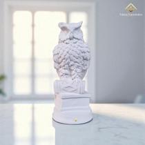 Estatueta Coruja no Livro 16 Cm em Gesso Premium Peça Decorativa Artesanal Pintura DIY AVB DECOR