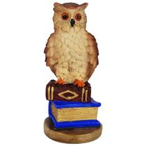 Estatueta Coruja No Livro Sabedoria E Inteligencia