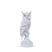 Estatueta Coruja no Tronco 21 Cm em Gesso Premium Ideal P/ Decoração DIY Presentes VÁRIAS VARIEDADES