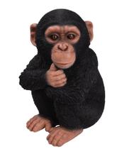 Estatueta de poliresina Hi-Line Gift Ltd Baby Monkey
