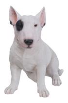 Estatueta de poliresina Hi-Line Gift Ltd Bull Terrier