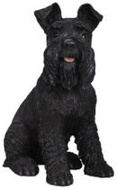 Estatueta Hi-Line Gift Ltd 87983S-BK Schnauzer preto 34x39x22cm 2,5 kg