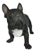 Estatueta Hi-Line Gift Ltd Boston Bull Terrier 56x30x41 cm