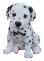 Estatueta Hi-Line Gift Ltd Dalmatian Puppy Polyresin Estatueta Hi-Line Gift Ltd Dalmatian Puppy Polyresin