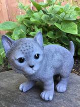 Estatueta Hi-Line Gift Ltd Russian Blue Kitten Polyresin