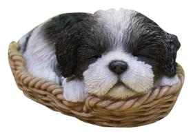 Estatueta Hi-Line Gift Ltd Shih Tzu em cesta de vime Estatueta Hi-Line Gift Ltd Shih Tzu em cesta de vime
