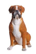 Estatueta Hi-Line Gift Ltd Sitting Boxer Dog Statue em poliresina