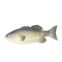 Estatueta realista de peixe Fish Model PU Lifelike Bass Fish 30 cm