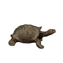 Estatueta realista de plástico de tartaruga de Galápagos de 13 cm para crianças