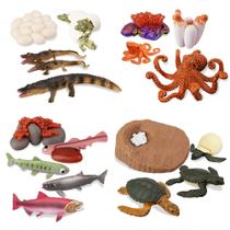 Estatueta Toy Toymany Sea Animal Life Cycle 17 unidades para crianças Estatueta Toy Toymany Sea Animal Life Cycle 17 unidades para crianças