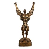 Estatueta Vencedor Troféu Miniatura Bronze Resina