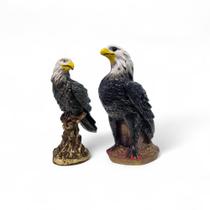 Estatuetas 2 Gaviões Águia Espanta Pombo E Pássaros Em Gesso 36 Cm E 22 Cm - AVB DECORAÇÕES Estatuetas 2 Gaviões Águia Espanta Pombo E Pássaros Em Gesso 36 Cm E 22 Cm - AVB DECORAÇÕES