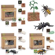Estatuetas de animais Toy MIKNEKE Montessori Life Cycle para crianças a partir de 3 anos Estatuetas de animais Toy MIKNEKE Montessori Life Cycle para crianças a partir de 3 anos
