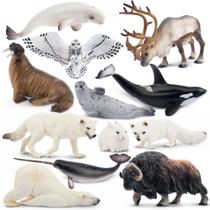 Estatuetas de animais Toymany Polar Animals, 12 unidades para crianças de 3 anos ou mais Estatuetas de animais Toymany Polar Animals, 12 unidades para crianças de 3 anos ou mais