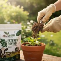 Esterco Bovino Para Plantio Allgreen 1 Kg Otimo Para Plantas