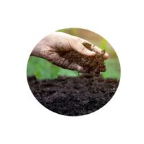 Esterco Vaca/Bovino/Boi Adubo Orgânico Natural Hortas Plantas 750g Esterco Vaca/Bovino/Boi Adubo Orgânico Natural Hortas Plantas 750g