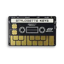 Estilosete de estilofone para instrumentos musicais Synth com cassete Estilosete de estilofone para instrumentos musicais Synth com cassete