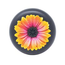Estojo alinhador e retentor INVISALIGN Orange Daisy