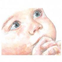 Estojo Caneta Zig Real Brush 06 Cores "Portrait"