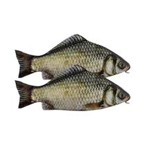 Estojo De Lápis Grande E Fofo Em Forma De Peixe Salgado Simulado, Presente Engraçado Para Volta Às