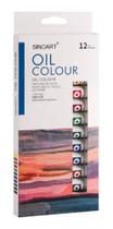 Estojo De Tinta A Oleo Sinoart 12 Cores Bisnaga De 12ml