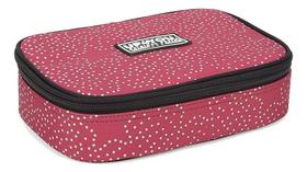 Estojo Escolar 100 Pens Elásticos Box Organizador Grande Estrelas Estojo Escolar 100 Pens Elásticos Box Organizador Grande Estrelas