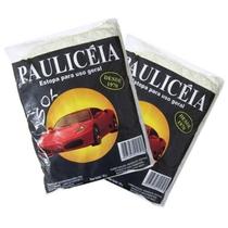 Estopa Para Uso Geral 200 Gramas Paulicéia