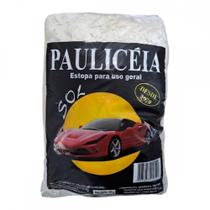 Estopa Pauliceia Sol Uso Geral 200G. - Kit C/50 Pacotes