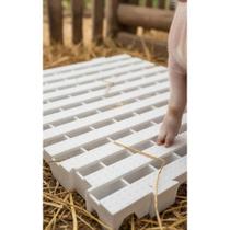 Estrado Plástico Modular 50x50cm Branco: Solução Prática Estrado Plástico Modular 50x50cm Branco: Solução Prática