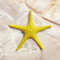 Estrela do Mar 25 cm Amarelo Decorativa Charme para Seu Ambiente Envio Rapido AVB DECOR