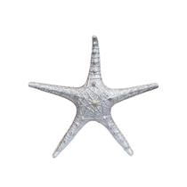 Estrela do Mar 25 Cm Prata Decoração Casa de Praia Piscina Pousada Barco VÁRIAS VARIEDADES