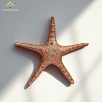 Estrela do Mar 25 cm Rosê Gold Mesa Posta Casamentos e Ambientes Temáticos AVB DECOR