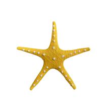 Estrela do Mar Amarela 25 cm Decorativa Inspiração Boho Praia Verão VÁRIAS VARIEDADES