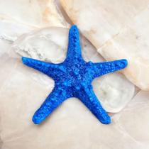 Estrela do Mar Azul 15 cm Decoração Casa de Praia Piscina Pousada Barco VÁRIAS VARIEDADES
