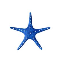 Estrela do Mar Azul 25cm Decoração Casa de Praia Piscina Pousada Barco VÁRIAS VARIEDADES
