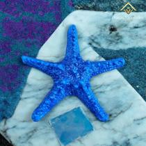 Estrela do Mar Azul 9 Cm Decoração Casa de Praia Piscina Pousada Barco VÁRIAS VARIEDADES
