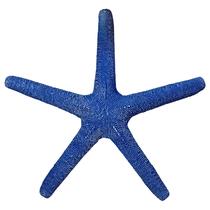 Estrela Do Mar Bertioga De Pendurar Azul Laranja Verde Bege - M3 Decoração