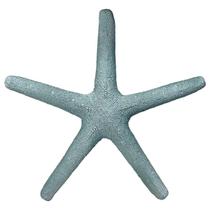 Estrela Do Mar Bertioga De Pendurar Azul Laranja Verde Bege Estrela Do Mar Bertioga De Pendurar Azul Laranja Verde Bege