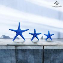 Estrela do Mar Decoração Praiana p/ Pousada Estante Mesa Posta Ambientes Temáticos 3 Pçs AVB DECOR Estrela do Mar Decoração Praiana p/ Pousada Estante Mesa Posta Ambientes Temáticos 3 Pçs AVB DECOR