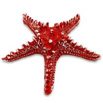 Estrela Do Mar Decorativa Enfeite Oferenda Vermelha 15cm