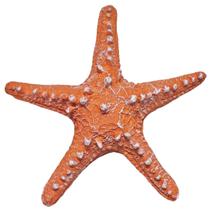 Estrela Do Mar P/ Pendurar Parede Pousada Praia Casa Resina