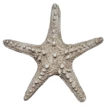 Estrela Do Mar P/ Pendurar Parede Pousada Praia Casa Resina - M3 Decoração