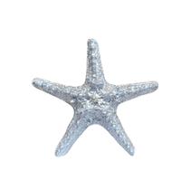 Estrela do Mar Prata 9 cm Decoração Casa de Praia Piscina Pousada Barco VÁRIAS VARIEDADES