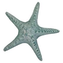 Estrela Do Mar Resina P/ Pendurar Parede Pousada Praia 20cm - M3 Decoração