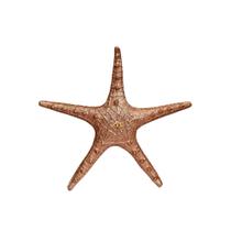 Estrela do Mar Rosê Gold 25 cm Decoração Casa de Praia Piscina Pousada Barco VÁRIAS VARIEDADES
