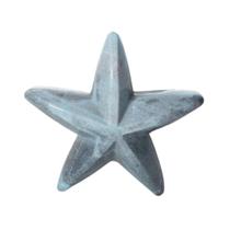 ESTRELA DO MAR TROLLEITE - (200 a 299)g ESTRELA DO MAR TROLLEITE - (200 a 299)g
