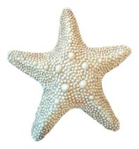 Estrela Marinha Enfeites Casa De Praia Resina Mar 22cm - MJ DECOR