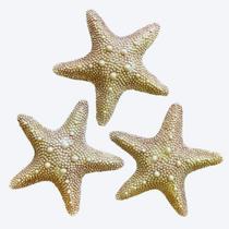 Estrelas do Mar Trio Enfeites para Casa de Praia Resina 22cm - MJDECOR