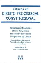 Estudos de Direito Processual Constitucional - Homenagem Brasileira a Héctor Fix-zamudio - MALHEIROS EDITORES