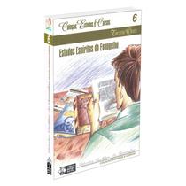 Estudos Espíritas do Evangelho - ALLAN KARDEC Estudos Espíritas do Evangelho - ALLAN KARDEC